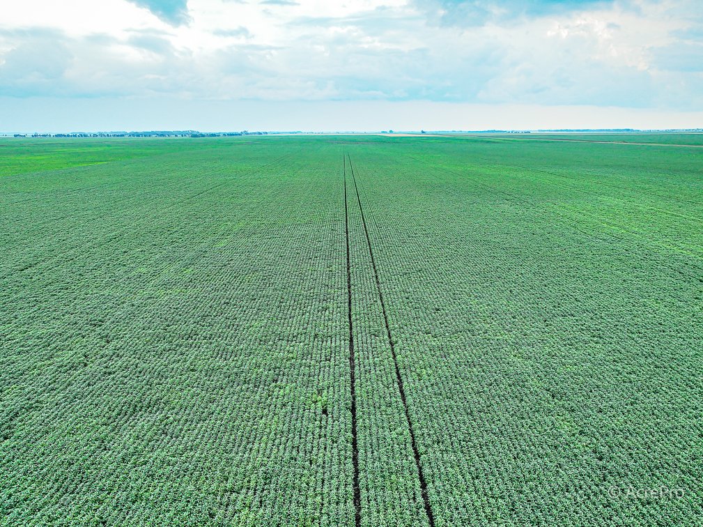 Tract 5 - 160± Acres in Pembina County, ND