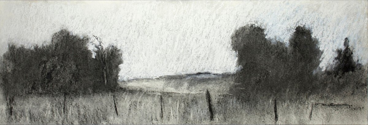 Dan Jones
