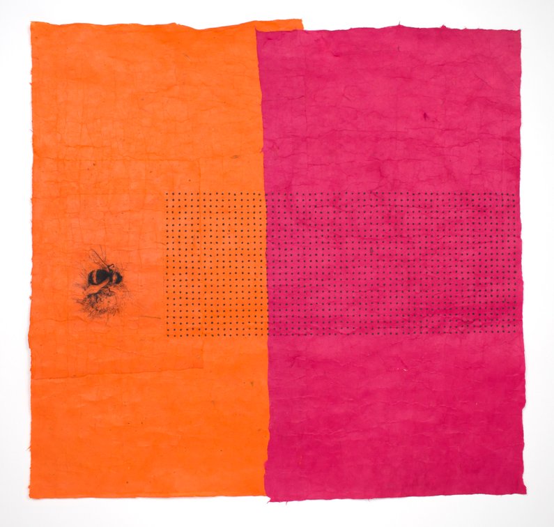 Ingrid Restemayer