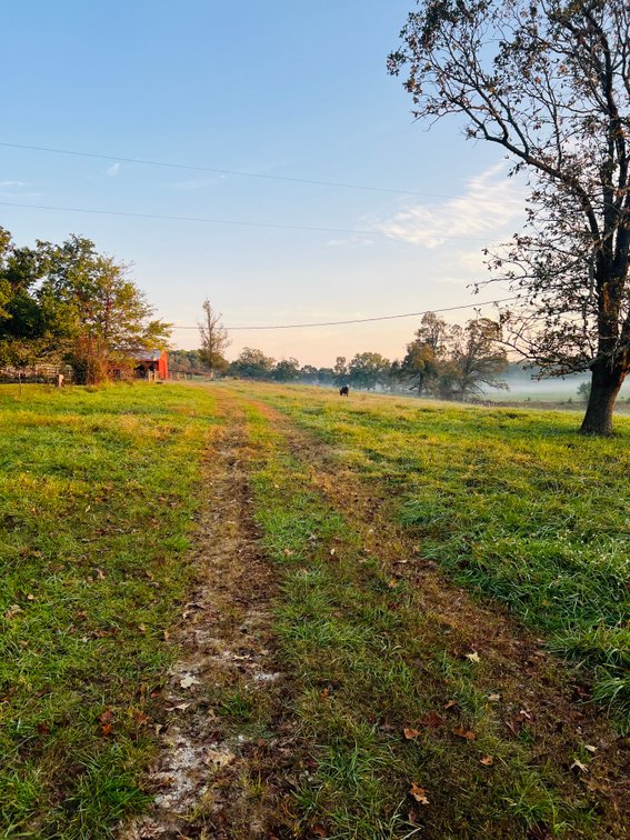 Image for Howell County Land Auction