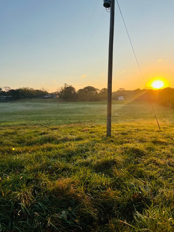 Image for Howell County Land Auction