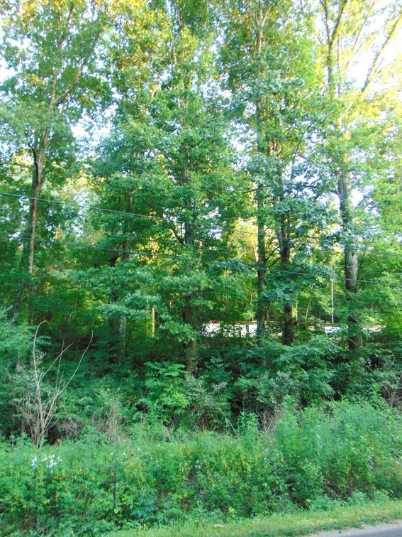 Image for Lot (1.59 acre) on Hinson Street w/ Utilities - Hohenwald