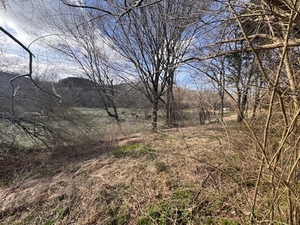 Image for Farm View Lot - 1.2 acre property on Hwy 100 - Ayers Estate