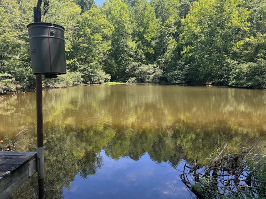 Image for Lake, Springs, Creek & Farmhouse - 16.85 acres