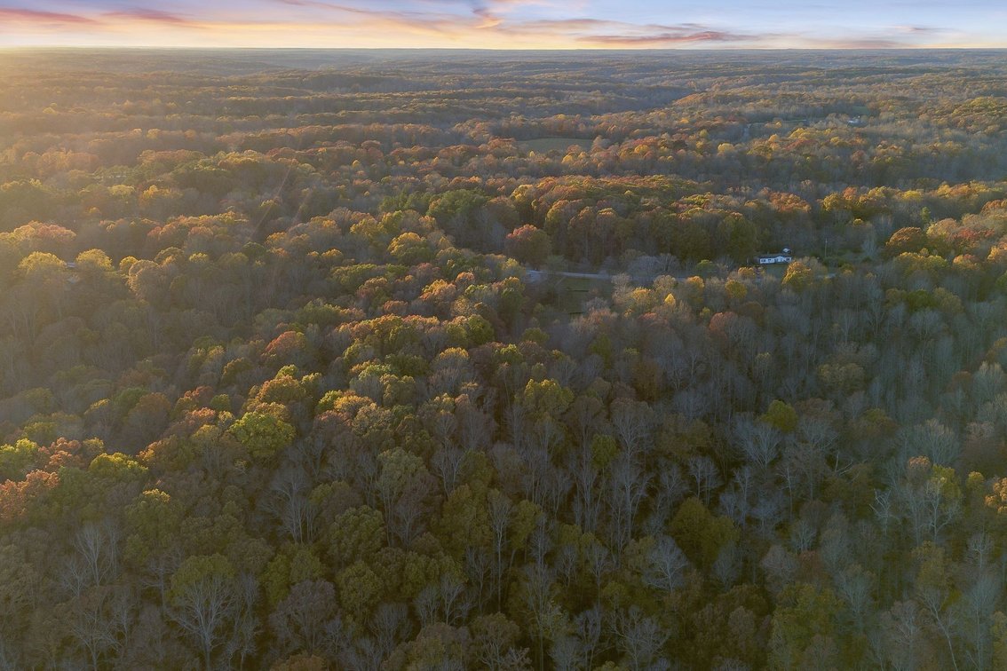 Image for 5 Acres in the Leipers Fork area - Davis Hollow Road