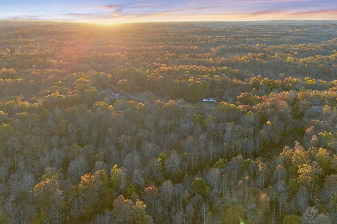 Image for 5 Acres in the Leipers Fork area - Davis Hollow Road