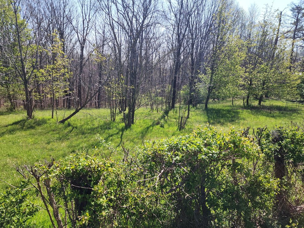 Image for 5 Acres in the Leipers Fork area - Davis Hollow Road
