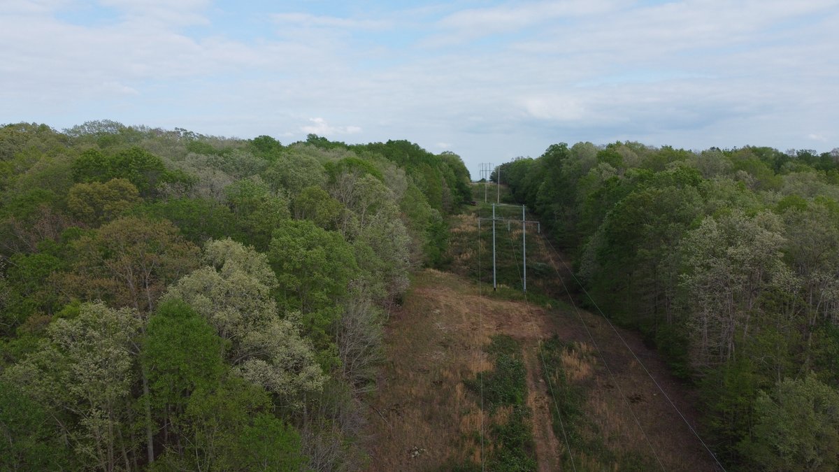 Image for 11.4 acres just off Hwy 50 on Moss Spring Hollow Road