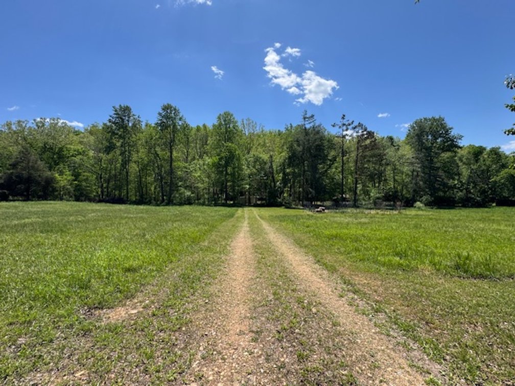 Image for Creekside Haven - Cabin on Bells Branch Creek w/ 3.76 acres
