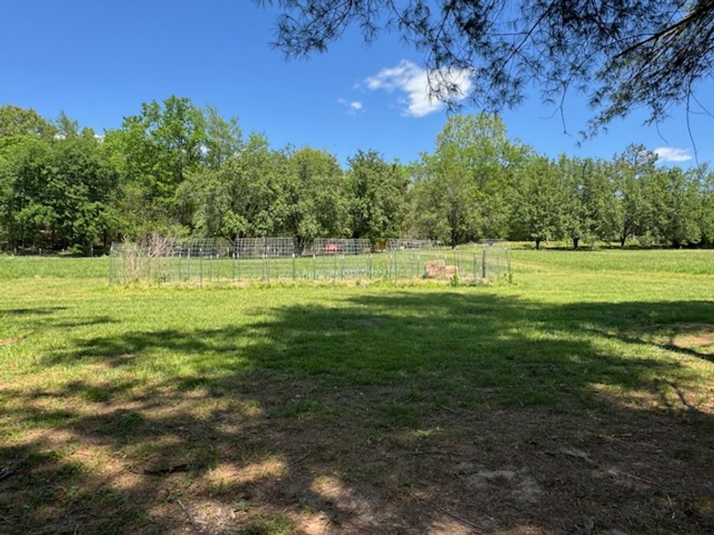 Image for Creekside Haven - Cabin on Bells Branch Creek w/ 3.76 acres