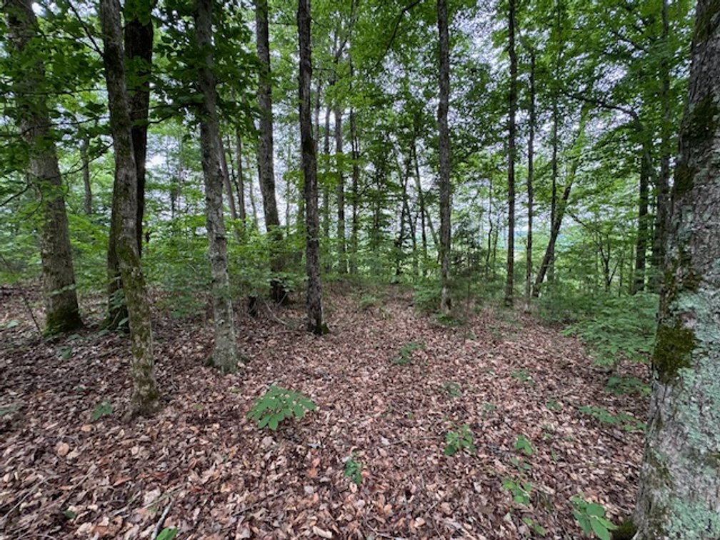 Image for Buffalo River - 5.5 acres on paved road with utilities - Perry County