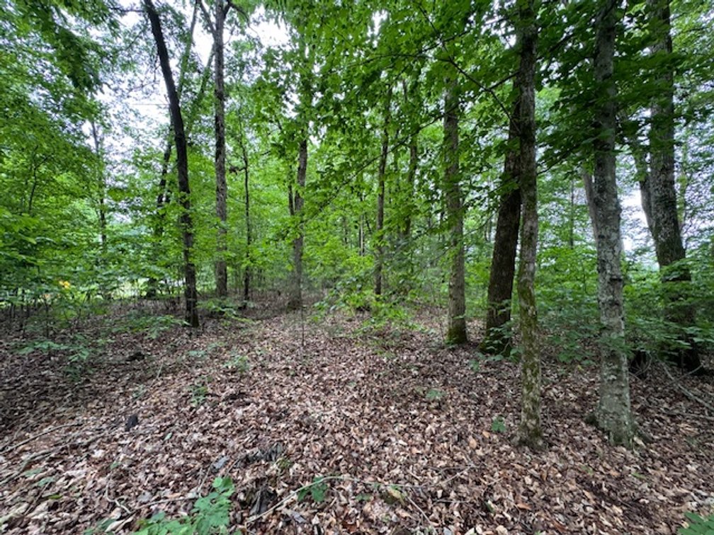 Image for Buffalo River - 5.5 acres on paved road with utilities - Perry County