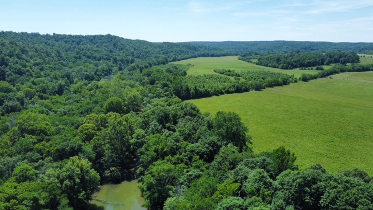 Image for Buffalo River - 5.5 acres on paved road with utilities - Perry County