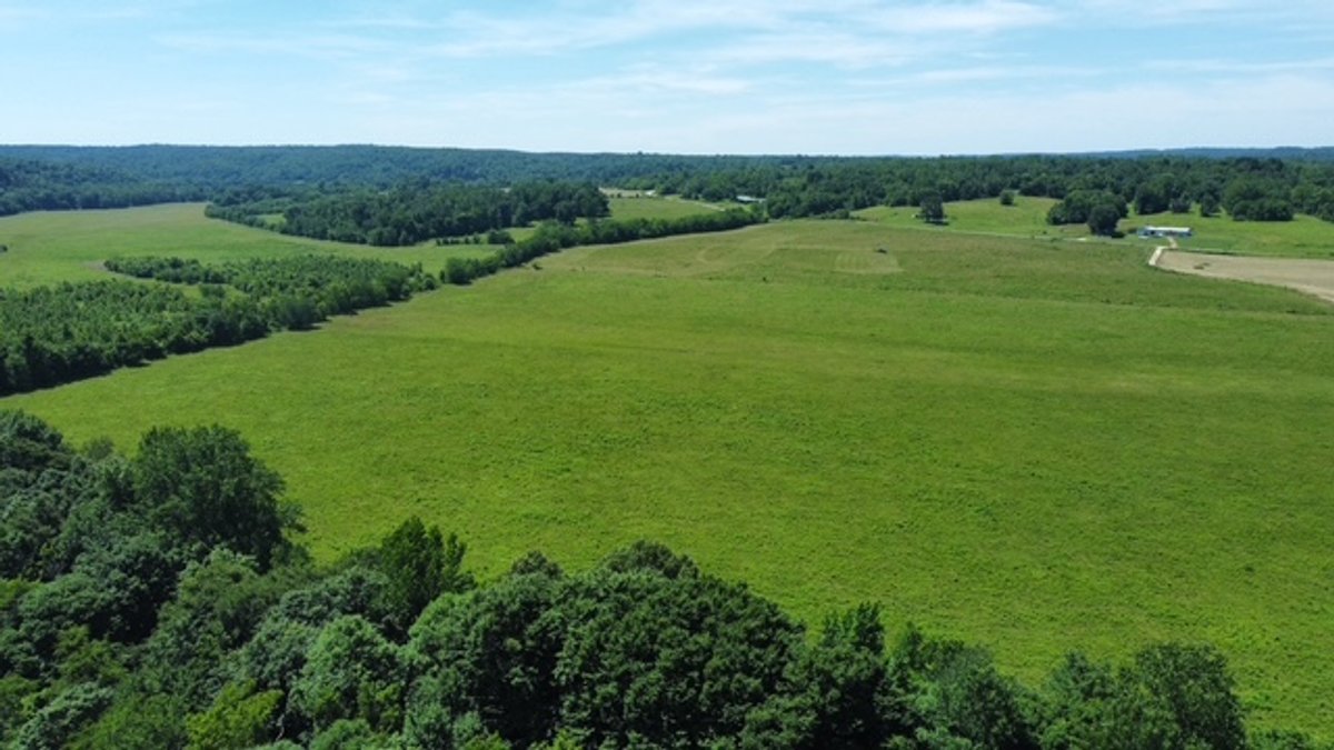 Image for Buffalo River - 5.5 acres on paved road with utilities - Perry County