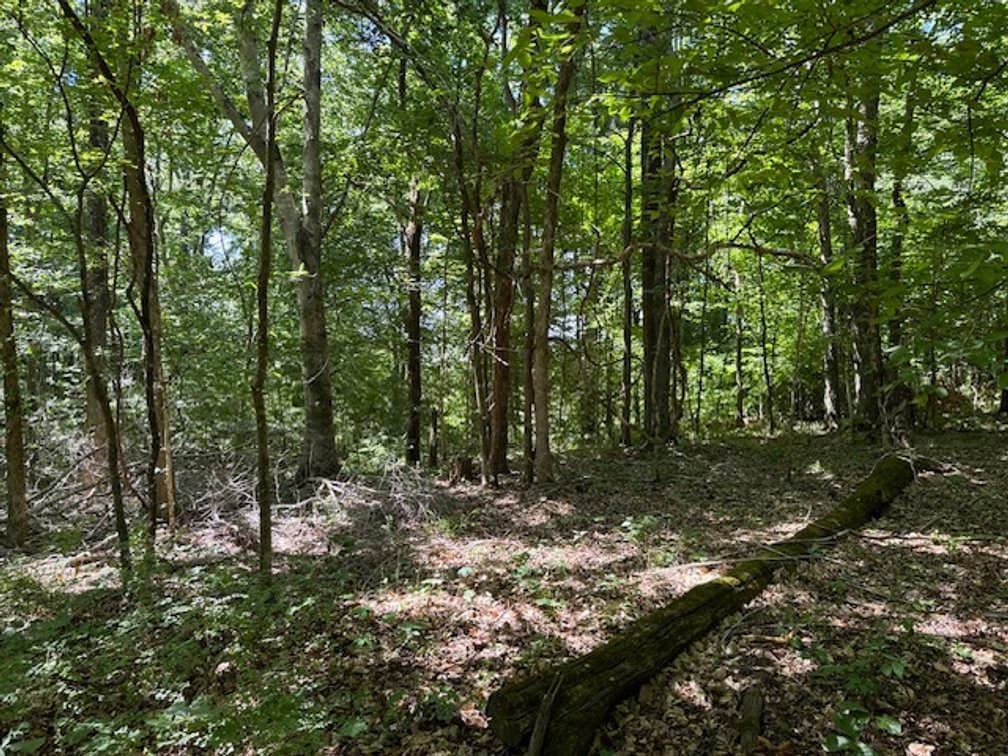 Image for Buffalo River - 5.5 acres on paved road with utilities - Perry County