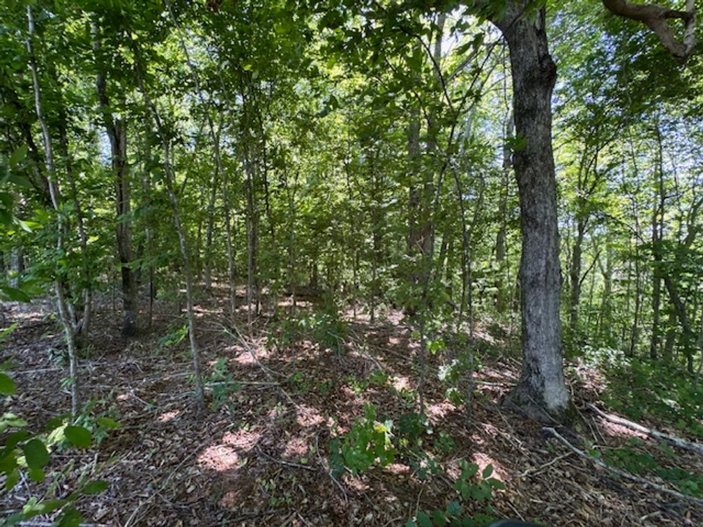 Image for Buffalo River - 5.5 acres on paved road with utilities - Perry County