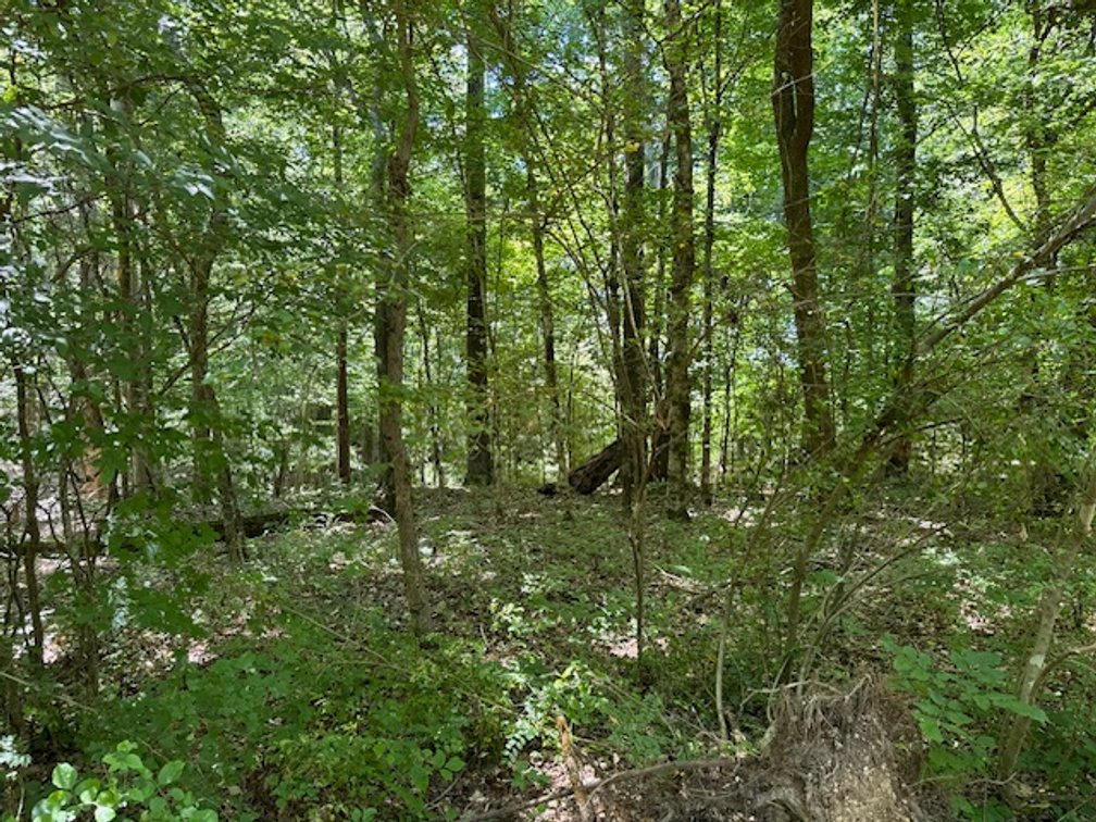 Image for Buffalo River - 5.5 acres on paved road with utilities - Perry County