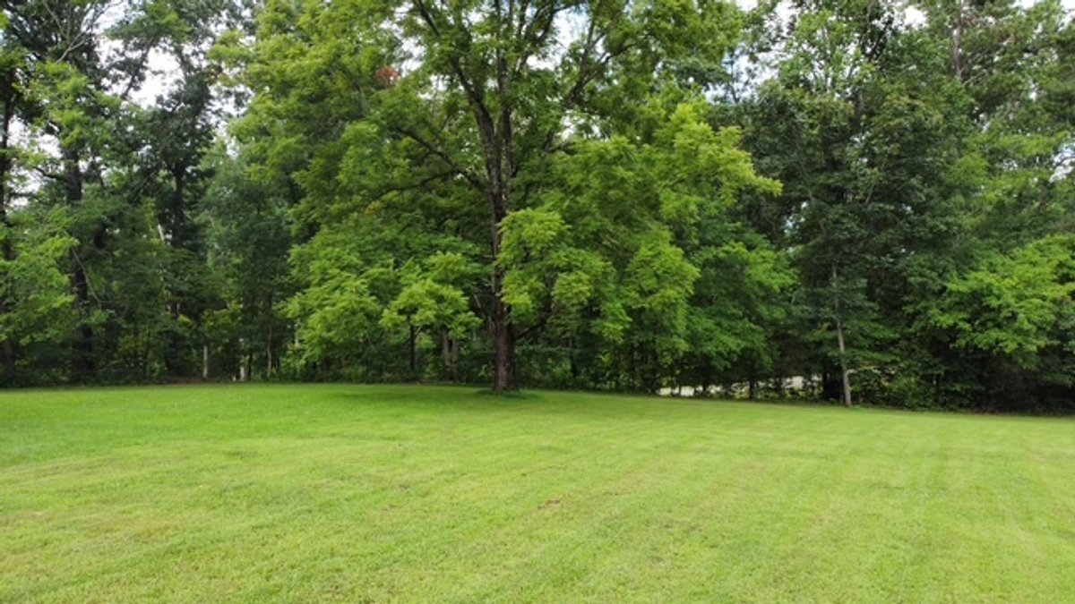 Image for 7.27 acres in Fairview - Forrest Glenn Road - 3 BR / 2 BA Home - Estate Auction