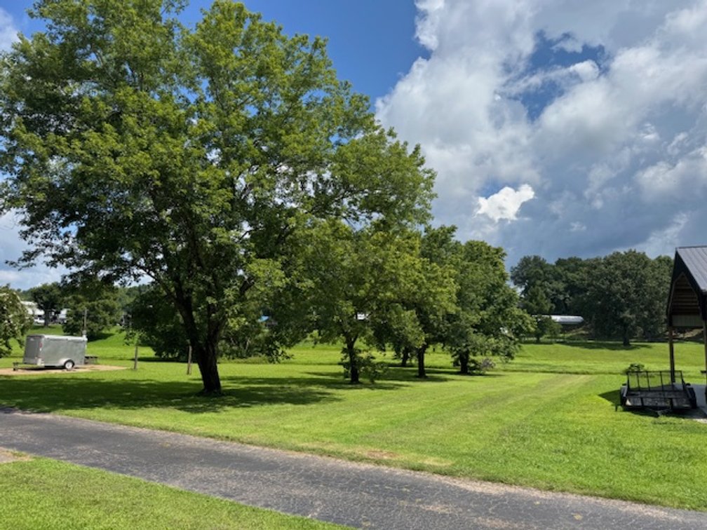 Lot 9