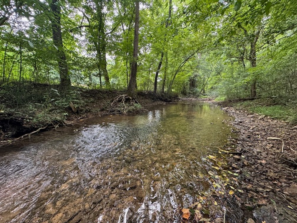 Image for Hassell Creek Hideaway - Log Home & 6 Acres
