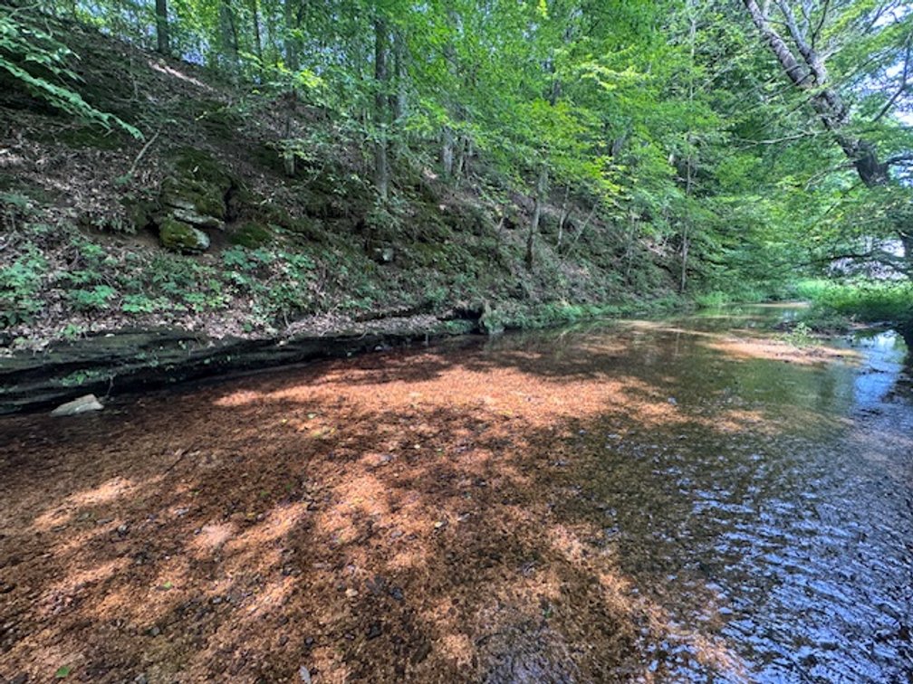 Image for Hassell Creek Hideaway - Log Home & 6 Acres