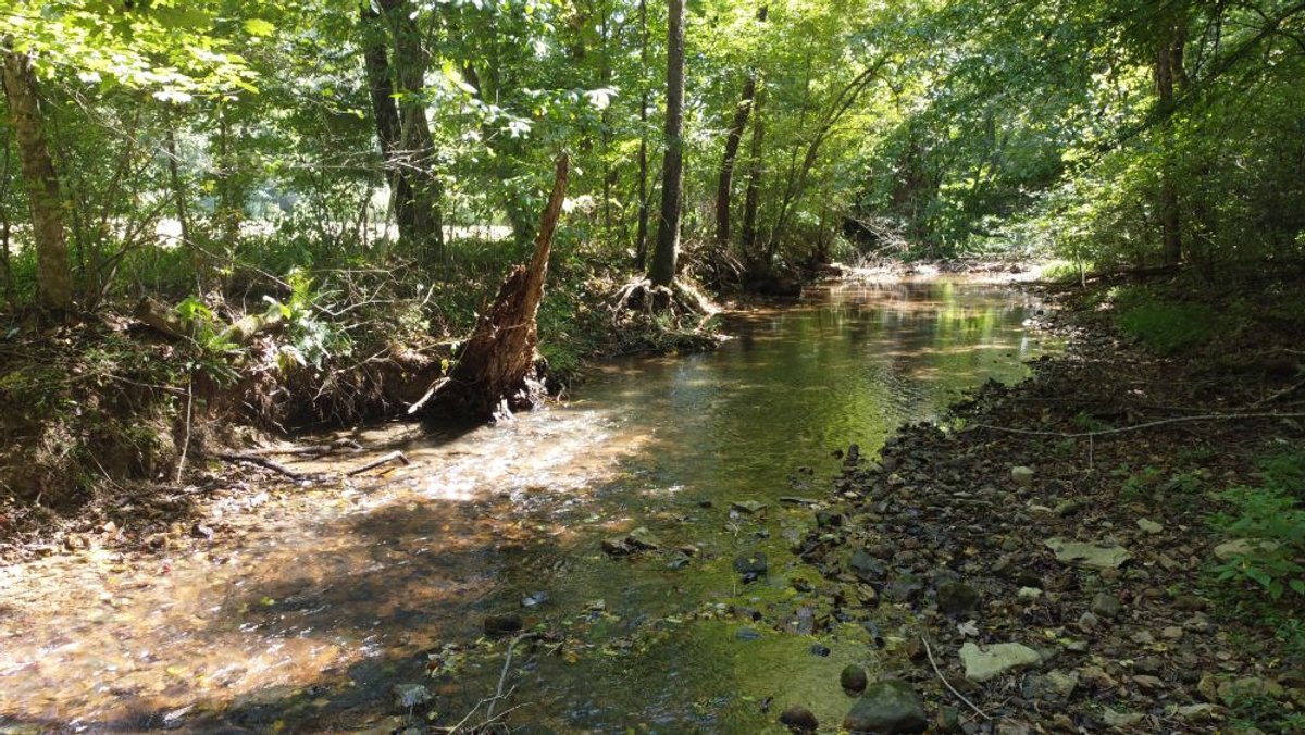 Image for Hassell Creek Hideaway - Log Home & 6 Acres
