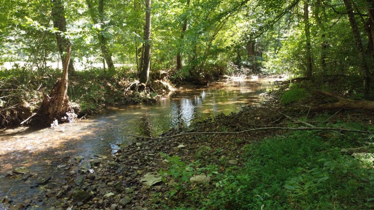 Image for Hassell Creek Hideaway - Log Home & 6 Acres