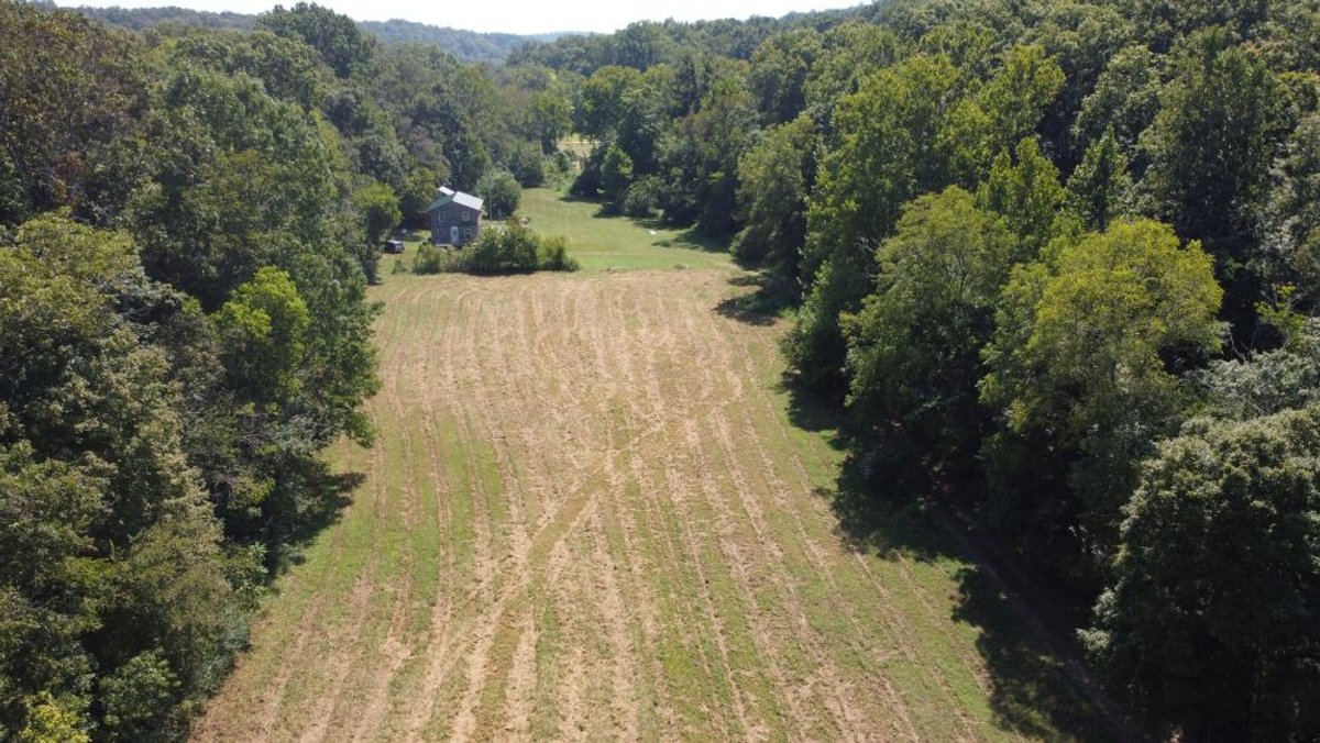 Image for Hassell Creek Hideaway - Log Home & 6 Acres