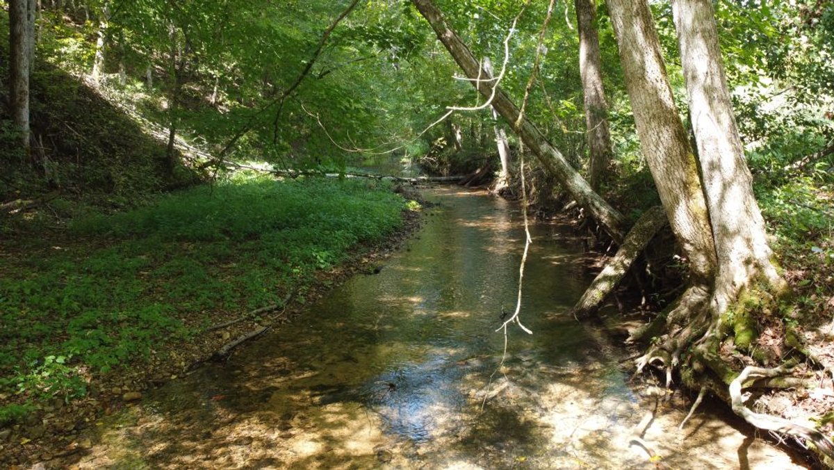 Image for Hassell Creek Hideaway - Log Home & 6 Acres