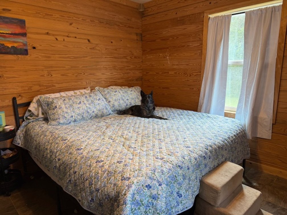 Image for Hassell Creek Hideaway - Log Home & 6 Acres