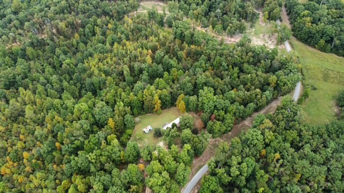 Image for 72.83 acres - House / Cabin / Woods & Trails - Bell Branch