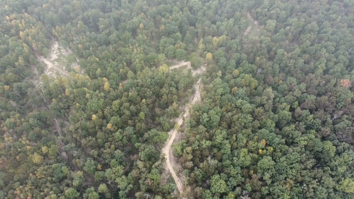 Image for 72.83 acres - House / Cabin / Woods & Trails - Bell Branch