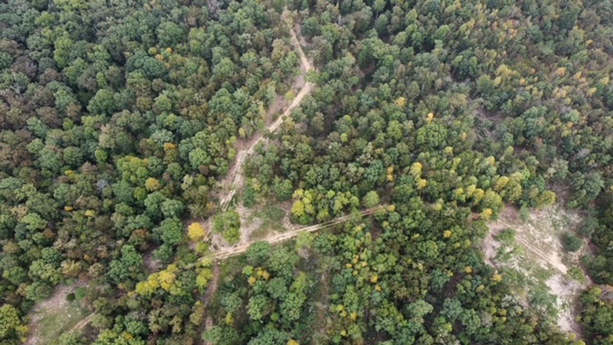 Image for 72.83 acres - House / Cabin / Woods & Trails - Bell Branch