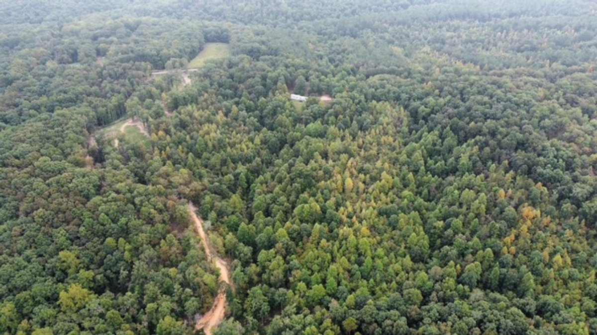 Image for 72.83 acres - House / Cabin / Woods & Trails - Bell Branch