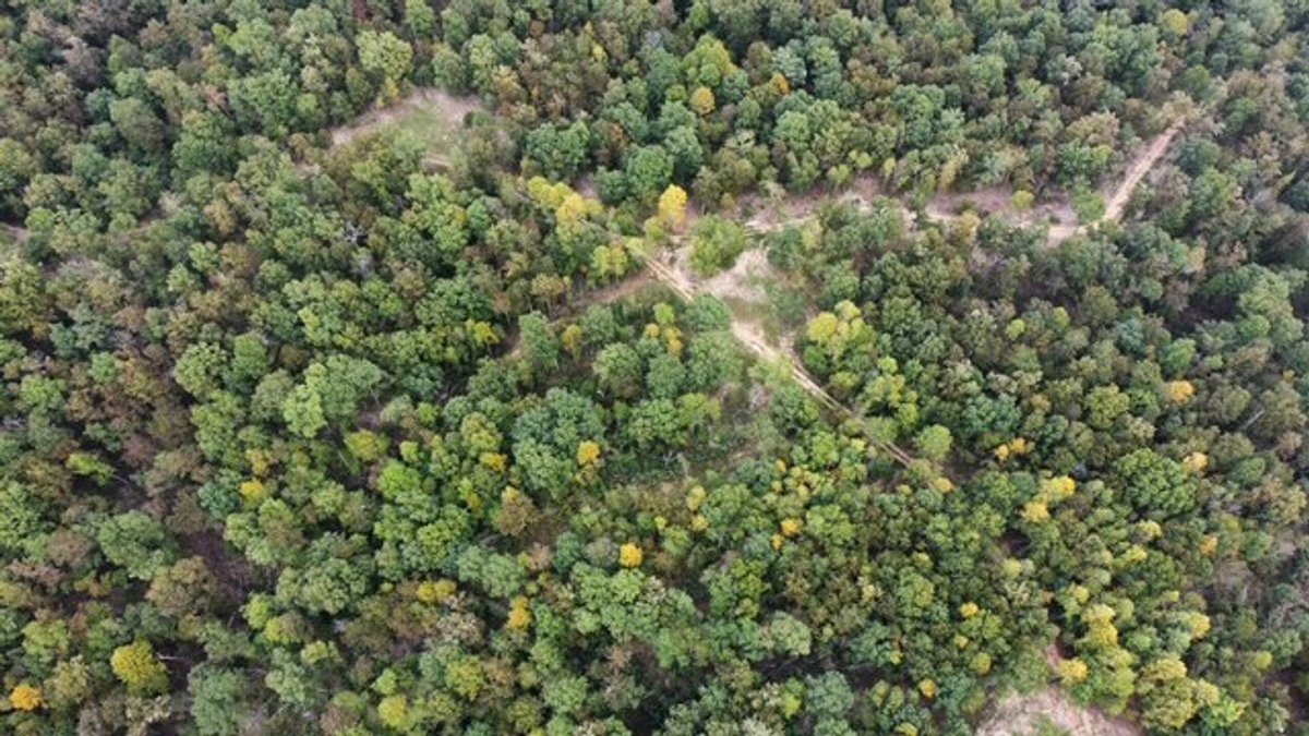 Image for 72.83 acres - House / Cabin / Woods & Trails - Bell Branch