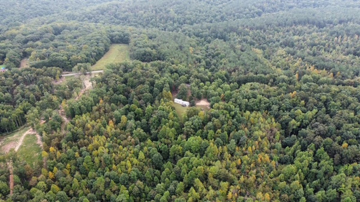 Image for 72.83 acres - House / Cabin / Woods & Trails - Bell Branch