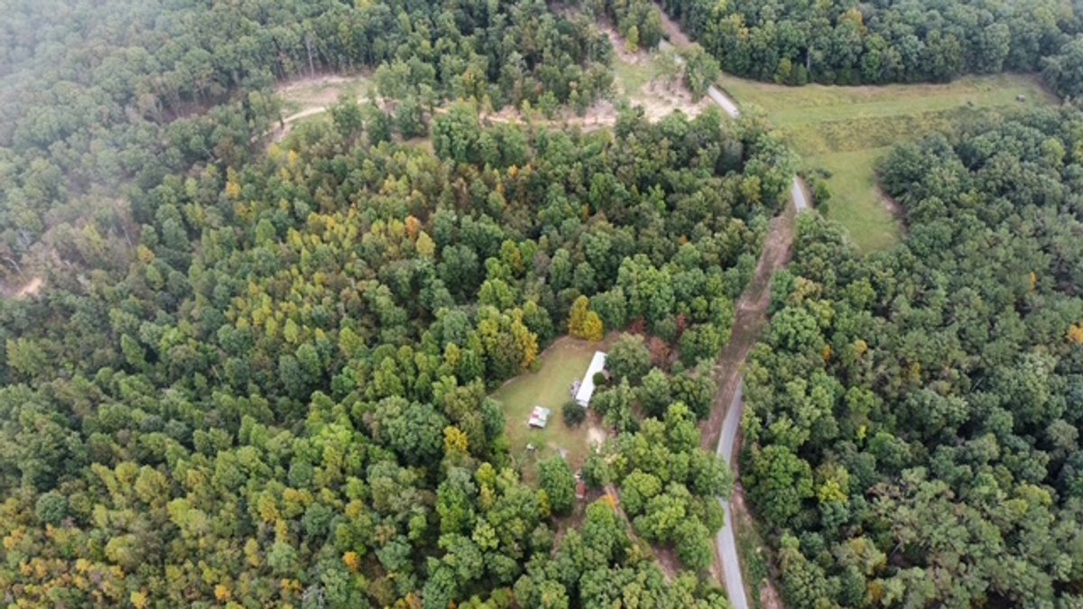 Image for 72.83 acres - House / Cabin / Woods & Trails - Bell Branch