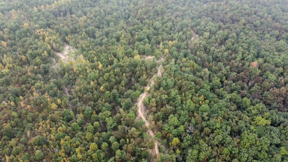 Image for 72.83 acres - House / Cabin / Woods & Trails - Bell Branch