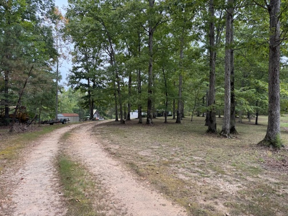 Image for 72.83 acres - House / Cabin / Woods & Trails - Bell Branch