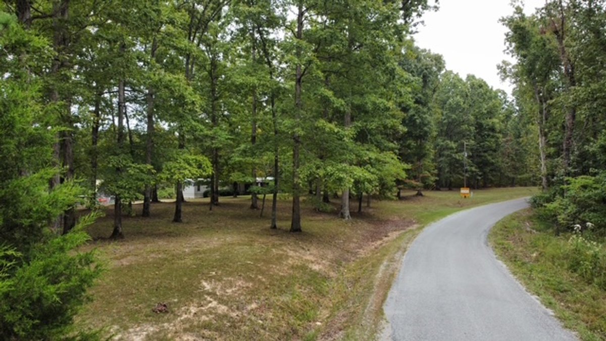 Image for 72.83 acres - House / Cabin / Woods & Trails - Bell Branch