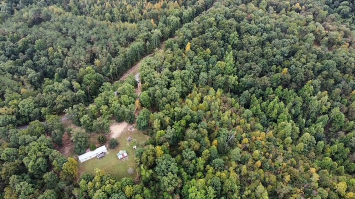 Image for 72.83 acres - House / Cabin / Woods & Trails - Bell Branch