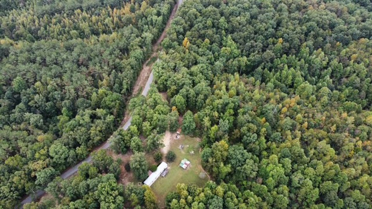 Image for 72.83 acres - House / Cabin / Woods & Trails - Bell Branch