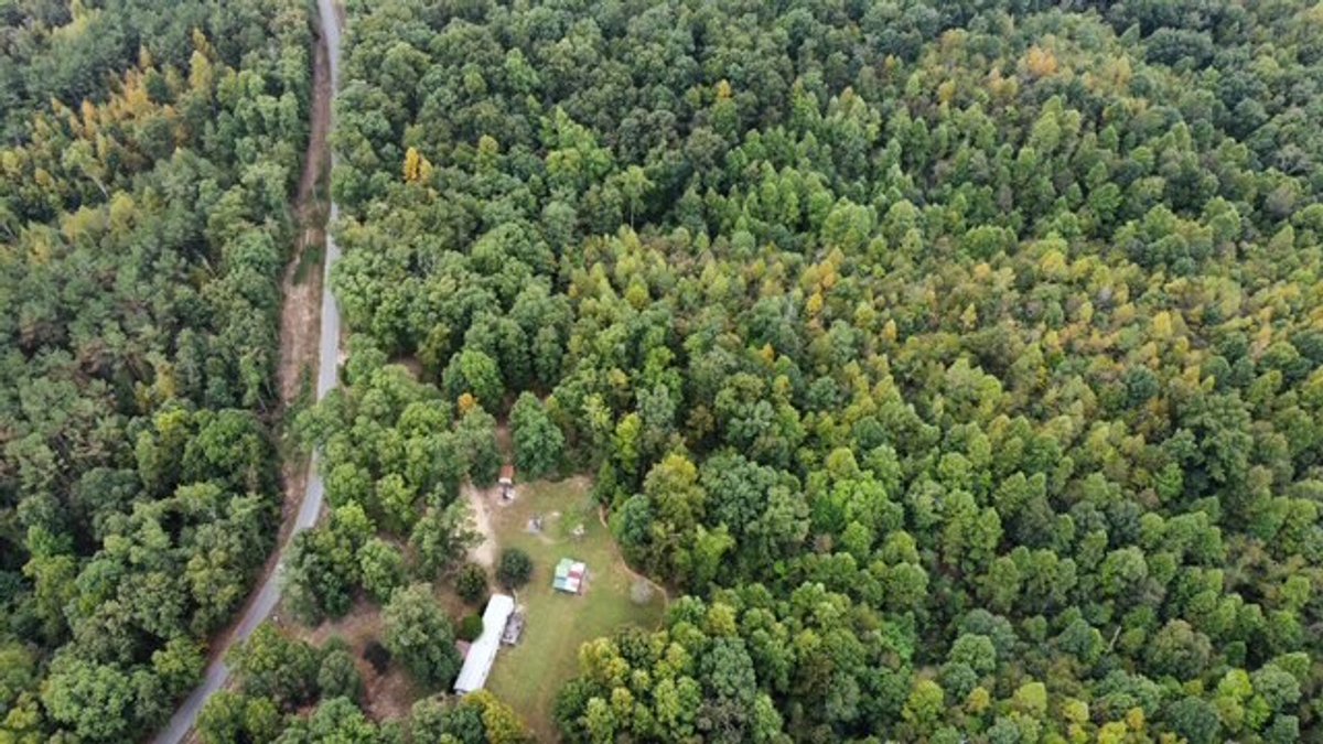 Image for 72.83 acres - House / Cabin / Woods & Trails - Bell Branch