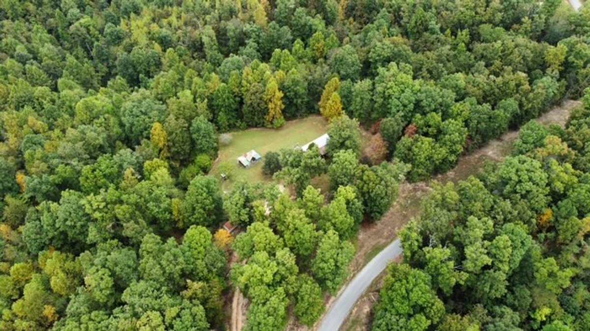 Image for 72.83 acres - House / Cabin / Woods & Trails - Bell Branch