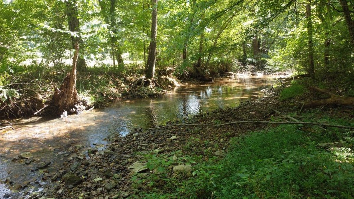Image for Creekside Retreat on 5.99 beautiful acres along Hassell Creek in Hickman County - 1,000 feet of Creek Frontage - only $249,900