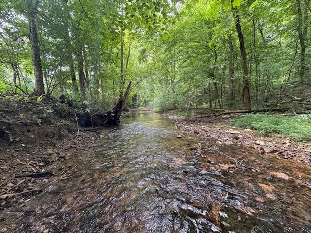 Image for Creekside Retreat on 5.99 beautiful acres along Hassell Creek in Hickman County - 1,000 feet of Creek Frontage - only $249,900