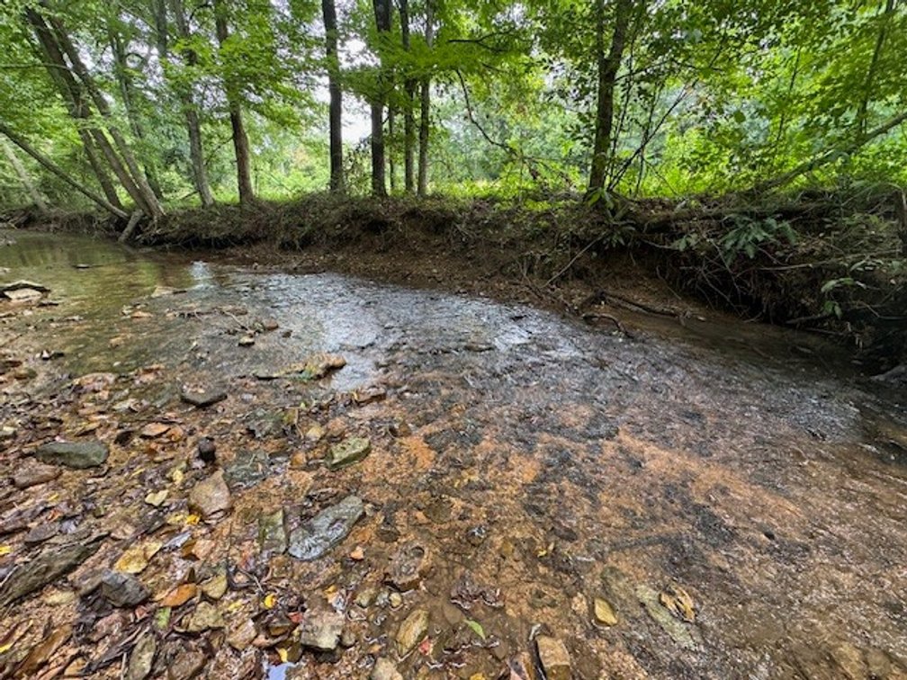 Image for Creekside Retreat on 5.99 beautiful acres along Hassell Creek in Hickman County - 1,000 feet of Creek Frontage - only $249,900
