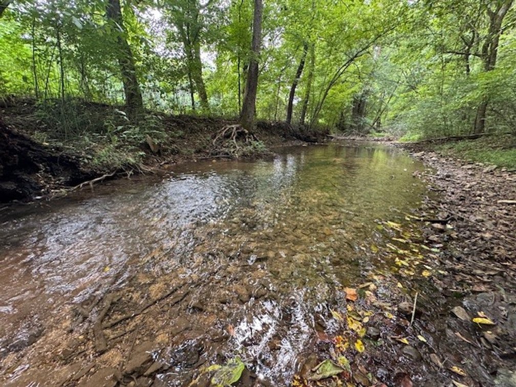 Image for Creekside Retreat on 5.99 beautiful acres along Hassell Creek in Hickman County - 1,000 feet of Creek Frontage - only $249,900