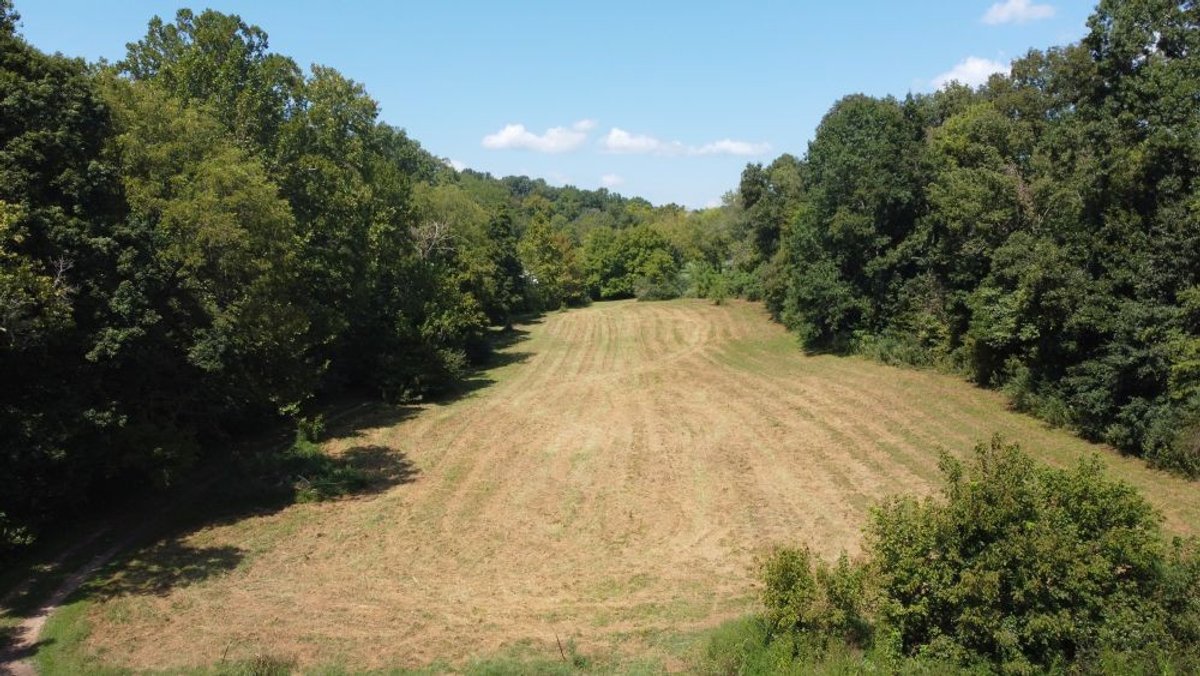 Image for Creekside Retreat on 5.99 beautiful acres along Hassell Creek in Hickman County - 1,000 feet of Creek Frontage - only $249,900
