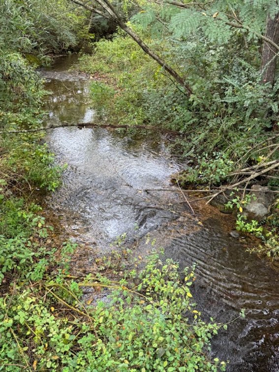 Image for Court-Ordered Estate Auction - Hwy 100: 6 acres & House - 
